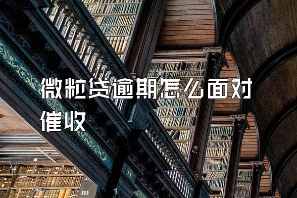 微粒贷逾期怎么面对催收
