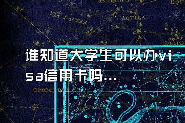 谁知道大学生可以办visa信用卡吗？
