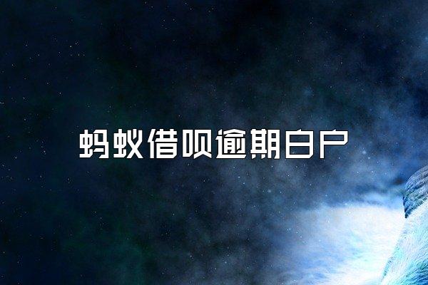 蚂蚁借呗逾期白户