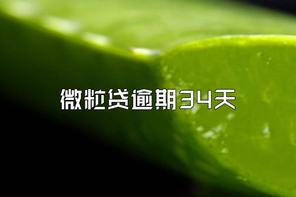 微粒贷逾期34天