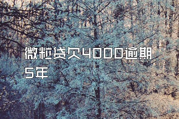 微粒贷欠4000逾期5年
