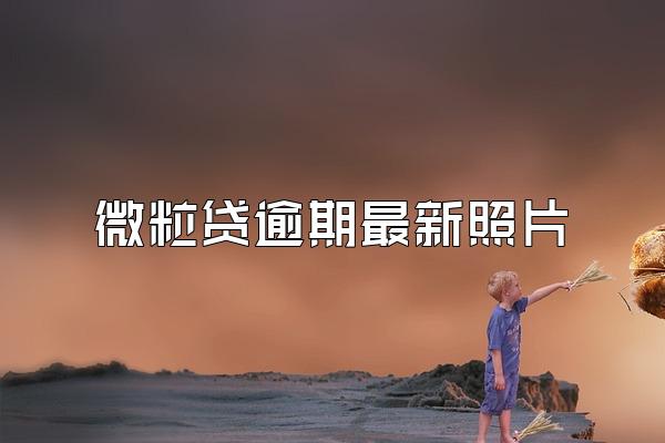 微粒贷逾期最新照片