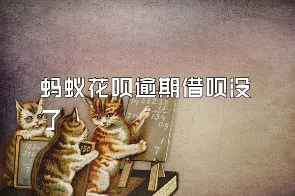 蚂蚁花呗逾期借呗没了