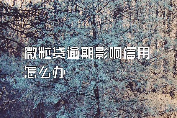 微粒贷逾期影响信用怎么办