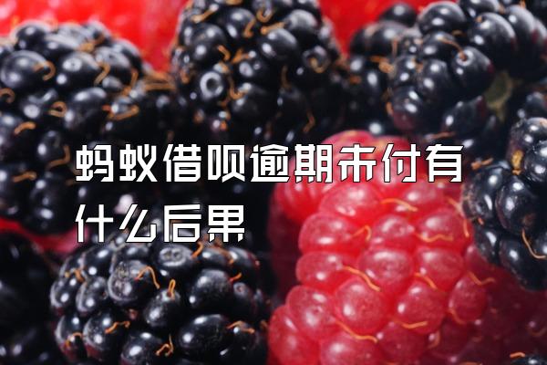蚂蚁借呗逾期未付有什么后果