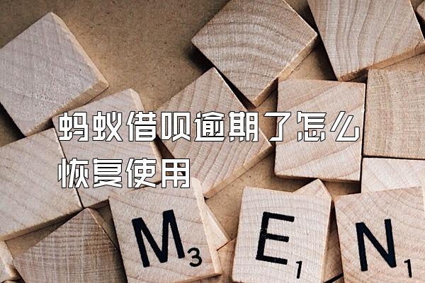 蚂蚁借呗逾期了怎么恢复使用