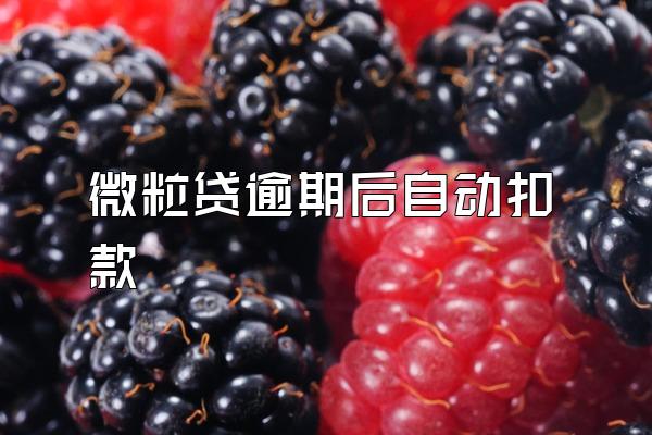 微粒贷逾期后自动扣款