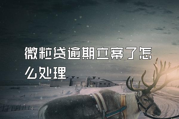 微粒贷逾期立案了怎么处理