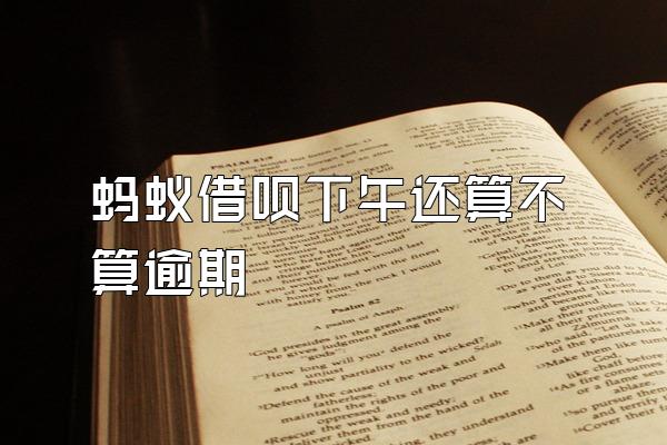 蚂蚁借呗下午还算不算逾期