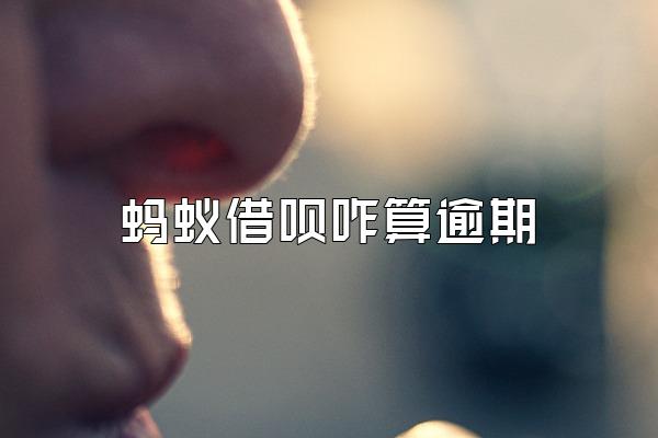 蚂蚁借呗咋算逾期