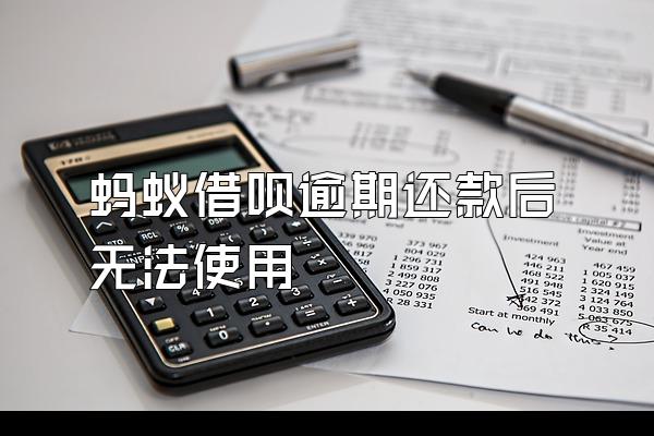 蚂蚁借呗逾期还款后无法使用