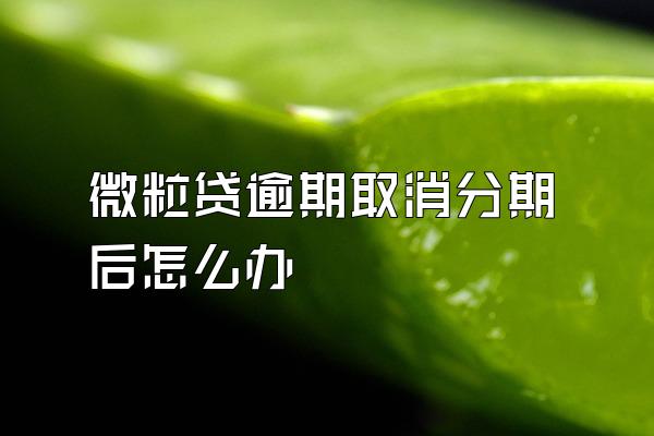 微粒贷逾期取消分期后怎么办