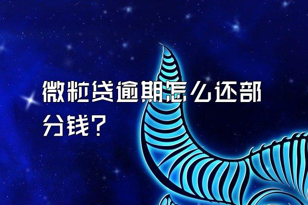 微粒贷逾期怎么还部分钱?