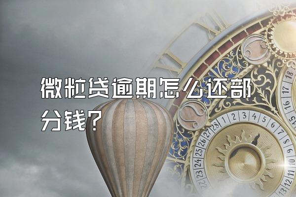 微粒贷逾期怎么还部分钱?