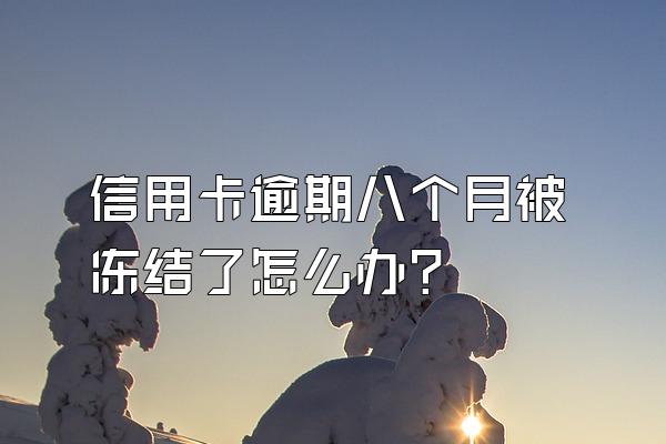 信用卡逾期八个月被冻结了怎么办？