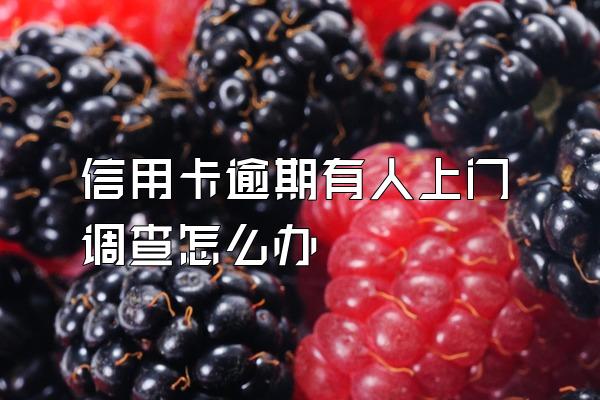 信用卡逾期有人上门调查怎么办