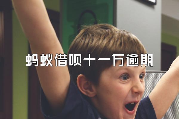 蚂蚁借呗十一万逾期