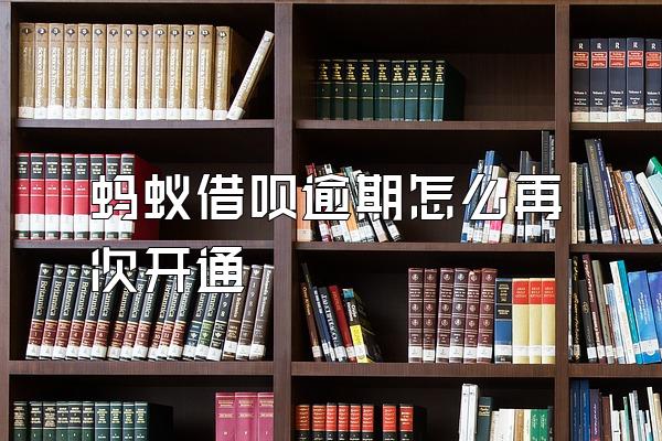 蚂蚁借呗逾期怎么再次开通