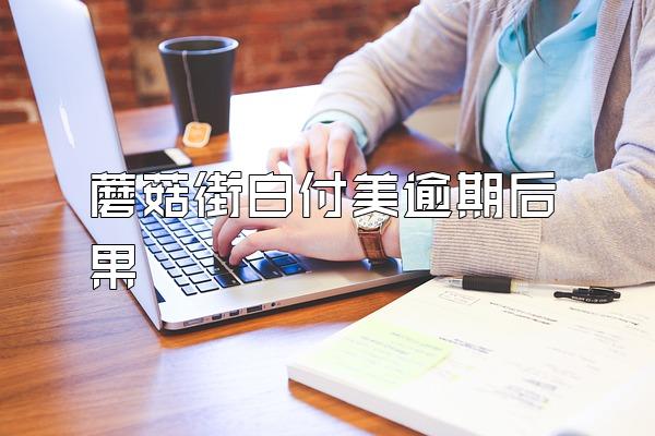 蘑菇街白付美逾期后果