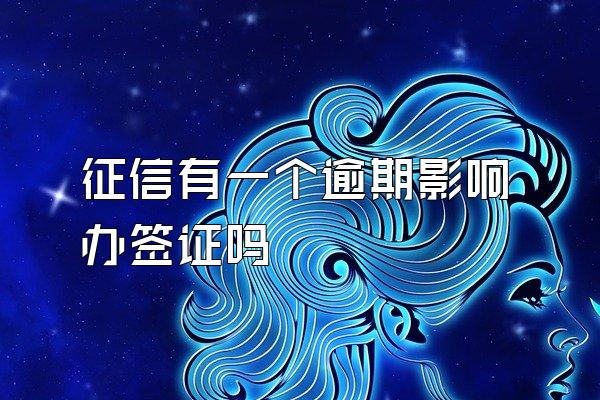 征信有一个逾期影响办签证吗
