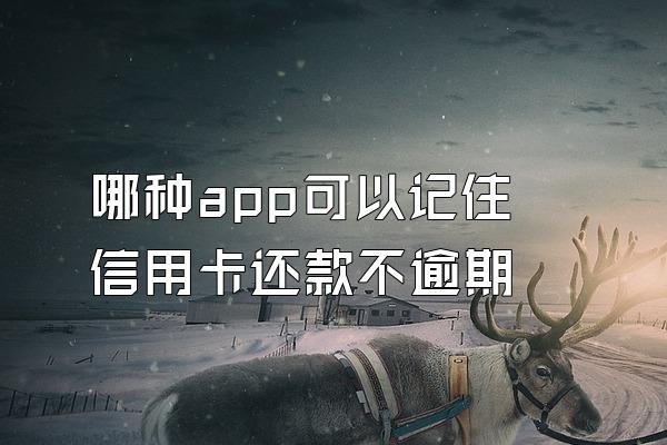 哪种app可以记住信用卡还款不逾期