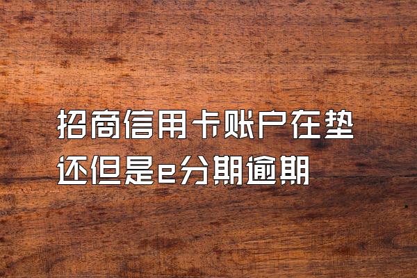 招商信用卡账户在垫还但是e分期逾期