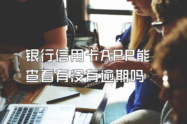 银行信用卡APP能查看有没有逾期吗