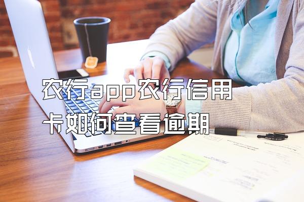 农行app农行信用卡如何查看逾期