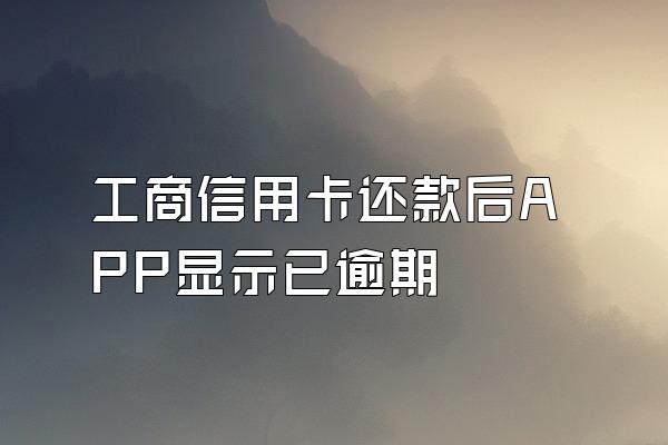 工商信用卡还款后APP显示已逾期