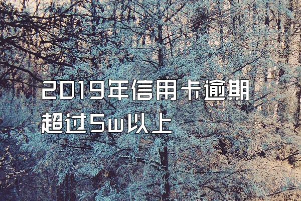 2019年信用卡逾期超过5w以上