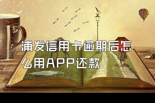 浦发信用卡逾期后怎么用APP还款