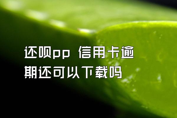 还呗pp 信用卡逾期还可以下载吗