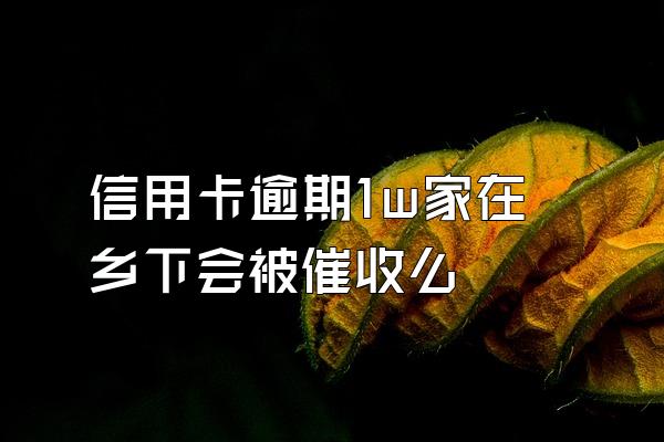 信用卡逾期1w家在乡下会被催收么