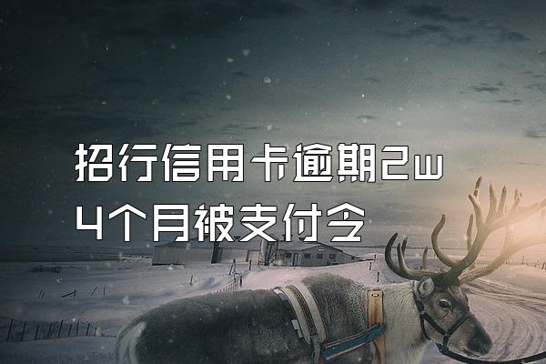 招行信用卡逾期2w4个月被支付令