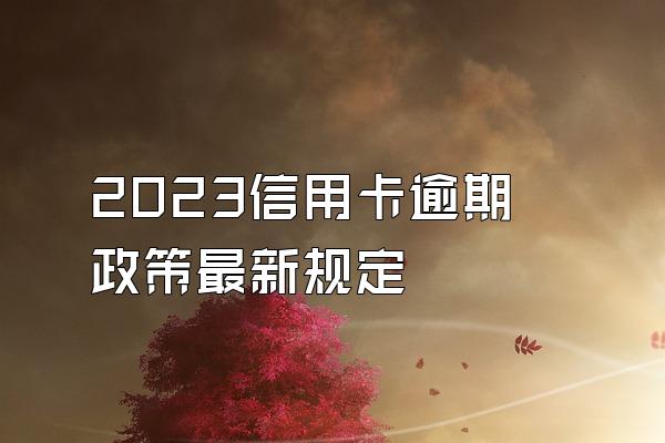 2023信用卡逾期政策最新规定