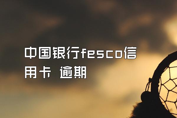 中国银行fesco信用卡 逾期