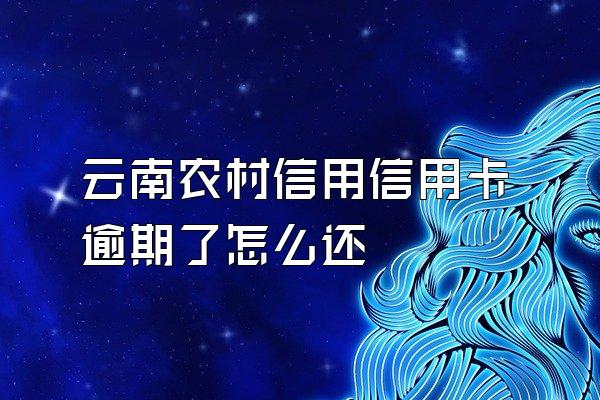 云南农村信用信用卡逾期了怎么还