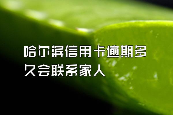 哈尔滨信用卡逾期多久会联系家人