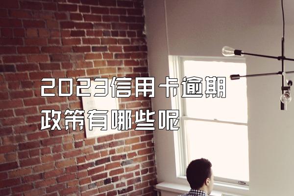 2023信用卡逾期政策有哪些呢