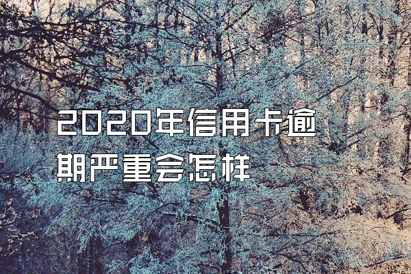 2020年信用卡逾期严重会怎样