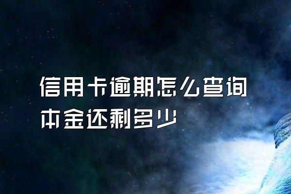 信用卡逾期怎么查询本金还剩多少