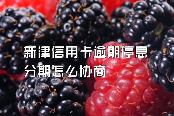 新津信用卡逾期停息分期怎么协商