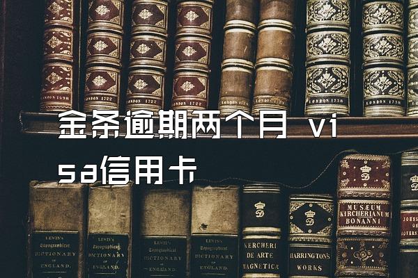 金条逾期两个月 visa信用卡