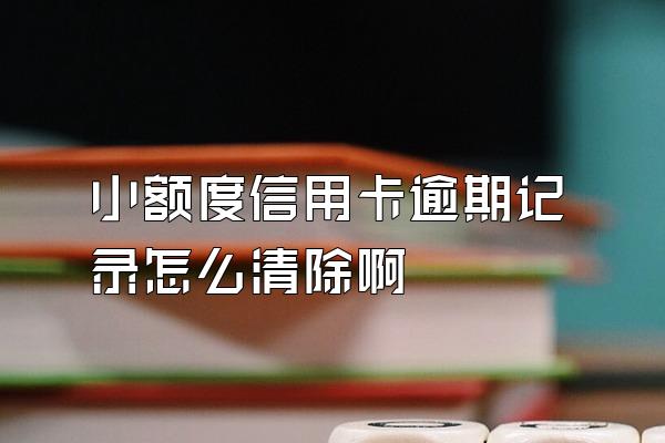 小额度信用卡逾期记录怎么清除啊