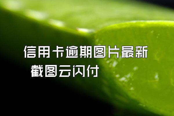 信用卡逾期图片最新 截图云闪付