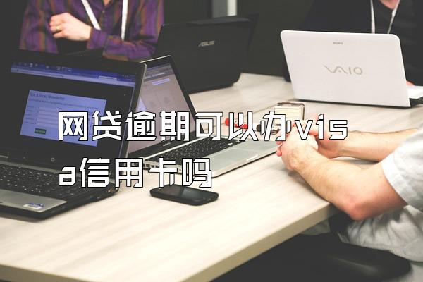 网贷逾期可以办visa信用卡吗