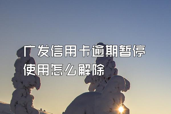 广发信用卡逾期暂停使用怎么解除