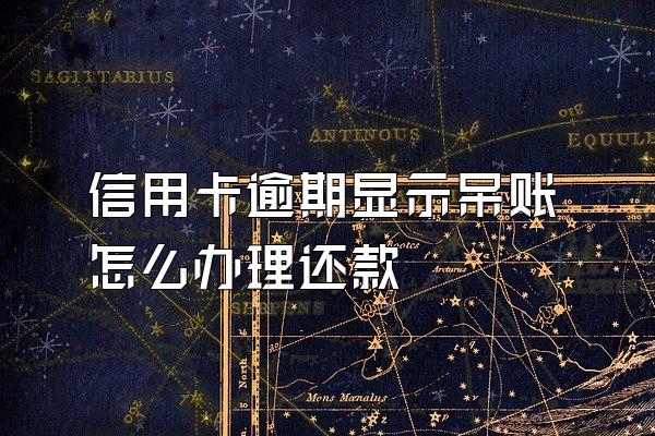 信用卡逾期显示呆账怎么办理还款