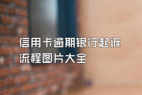 信用卡逾期银行起诉流程图片大全