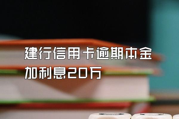 建行信用卡逾期本金加利息20万